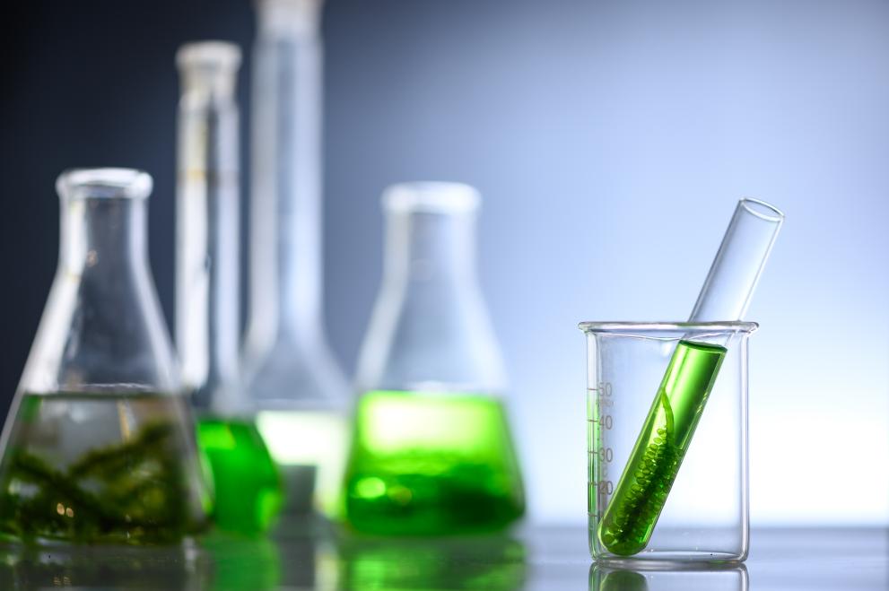 Image of algae research in a laboratory.