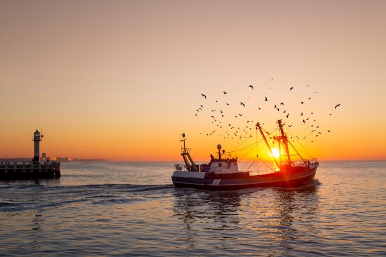 Fishing boat at sunset